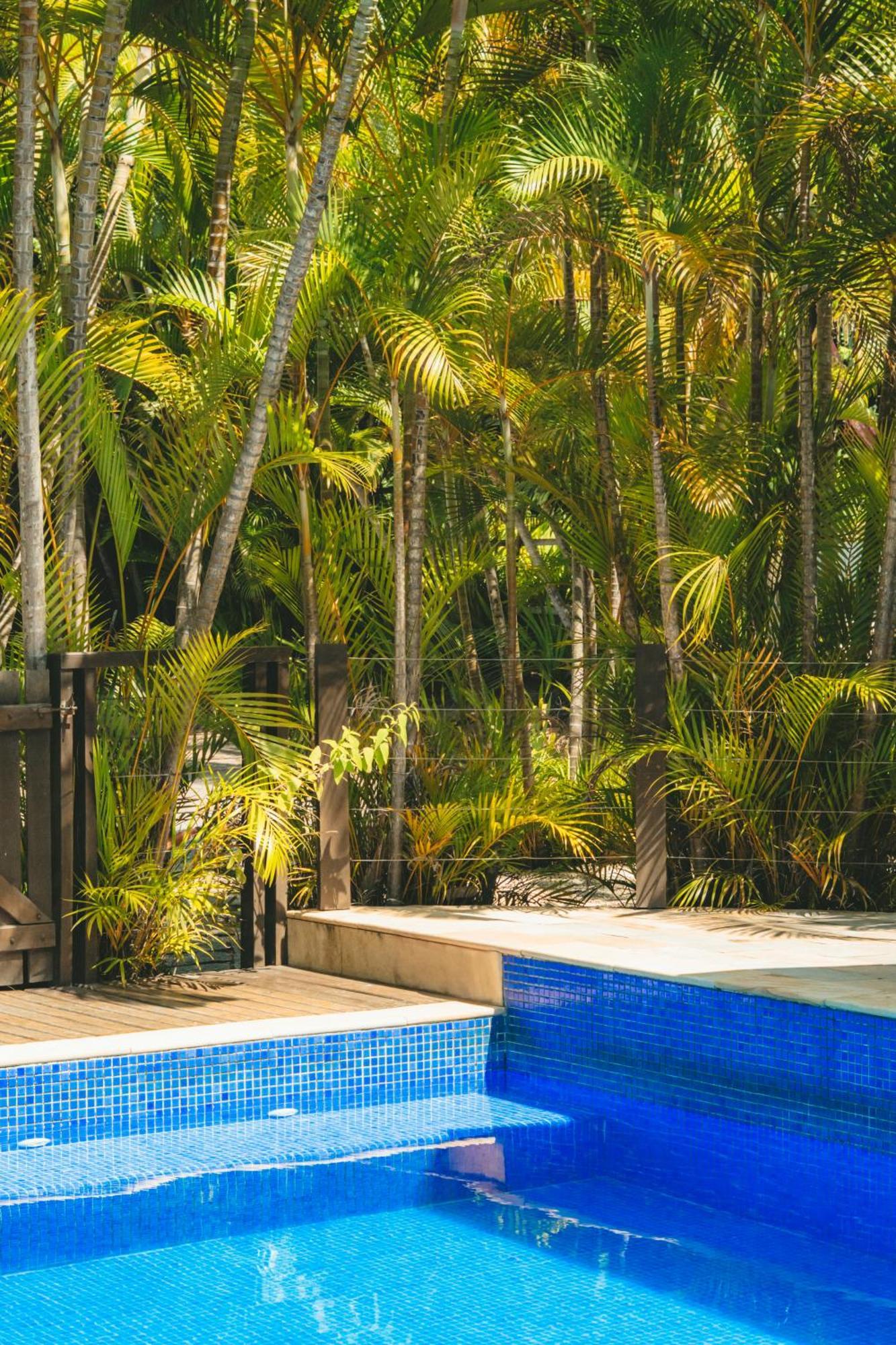 Pousada Vila Tamarindo Eco Lodge Florianópolis Extérieur photo